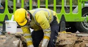 Internet blackout in Granada was caused by rats!