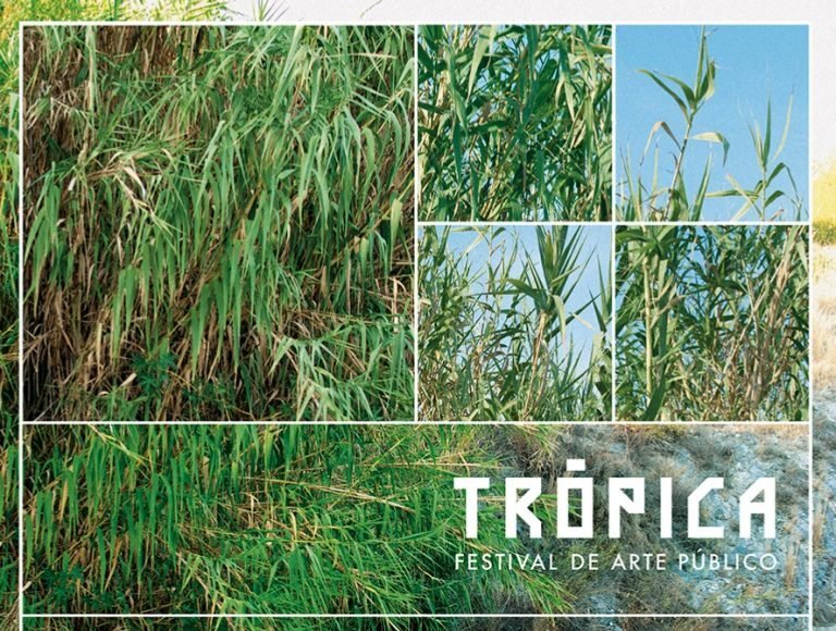 II Festival Arte Público Trópica