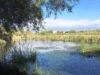 Motril’s Charca de Suárez Integrated into EU Natura 2000 Network Following Special Bird Protection Designation