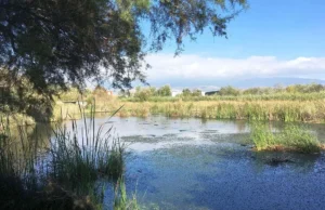 Motril’s Charca de Suárez Integrated into EU Natura 2000 Network Following Special Bird Protection Designation
